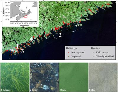 Branching Algorithm to Identify Bottom Habitat in the Optically Complex Coastal Waters of Atlantic Canada Using Sentinel-2 Satellite Imagery